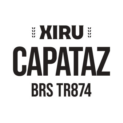 XIRU Capataz  (BRS TR874)