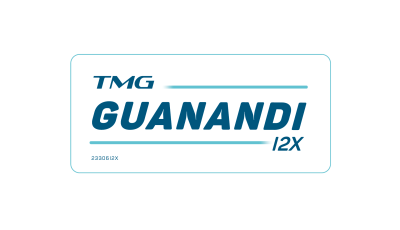 TMG GUANANDI I2X INOX
